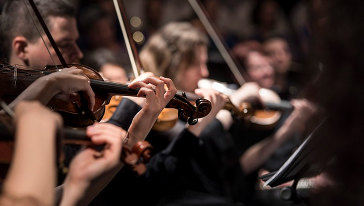 Violins